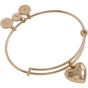 Alex and Ani Silver Metal Heart Charm Bangle(Shiny Gold)