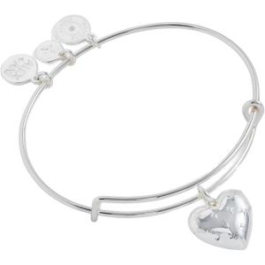 Alex and Ani Silver Metal Heart Charm Bangle(Shiny Silver)
