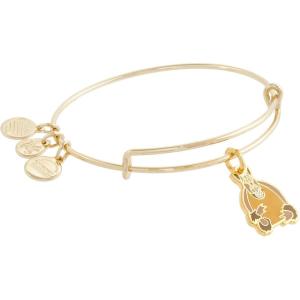 Alex and Ani FRIENDS Holiday Armadillo Charm Bangle(FRIENDS™ Holiday Armadillo Charm Bangle)