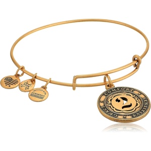 Alex and Ani Number 2 Charm Bangle Bracelet | Grace, Comfort, and Sensitive
